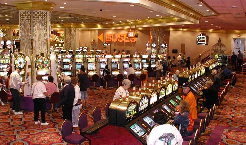 Live Casino: Evolution Gaming als Basis